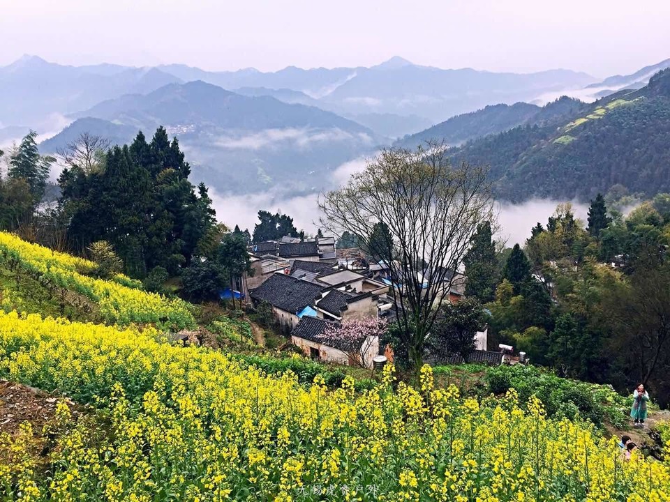 mmexport1521368774999