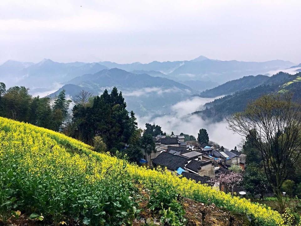 mmexport1521368779114