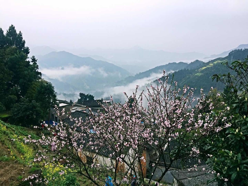 mmexport1521368781875