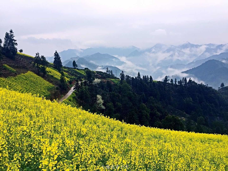 mmexport1521368783985