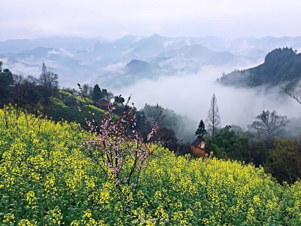 mmexport1521368786175