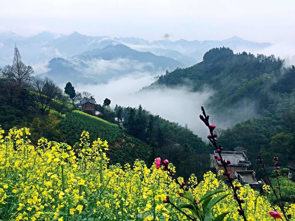 mmexport1521368790066