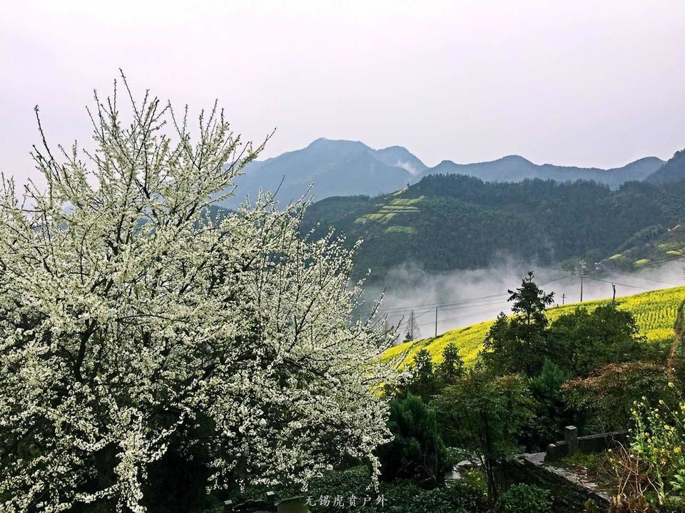 mmexport1521368792489