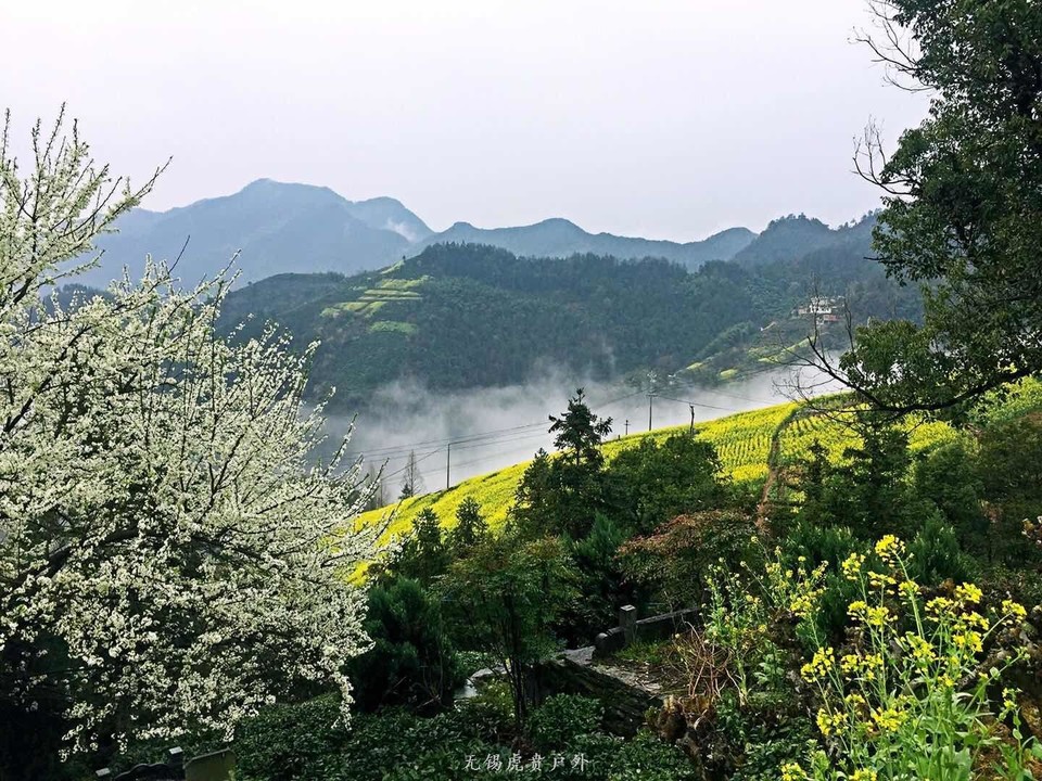 mmexport1521368803057