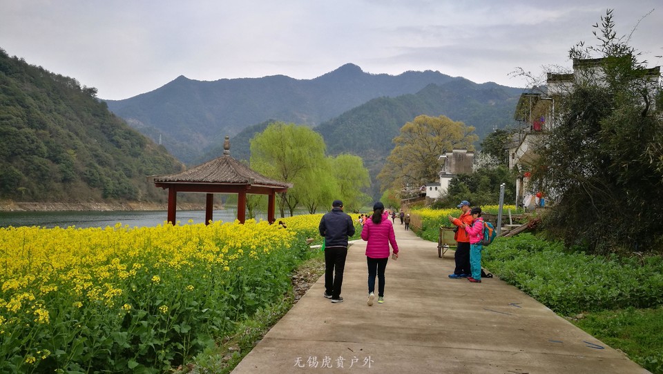 mmexport1521439857863