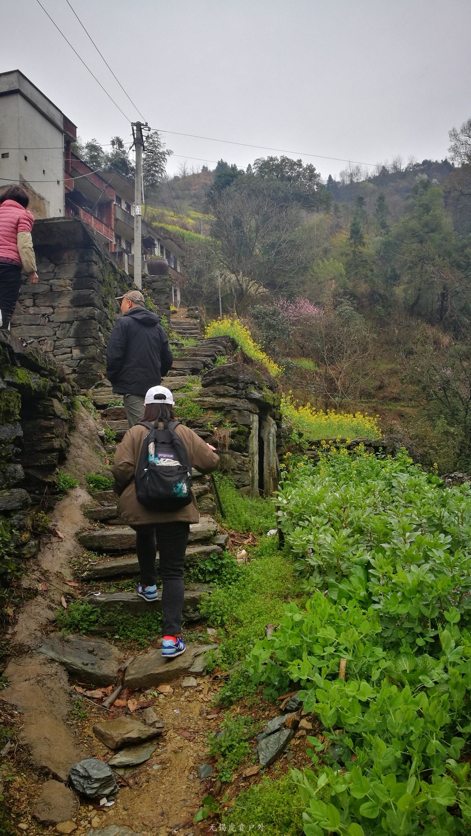 mmexport1521439880750