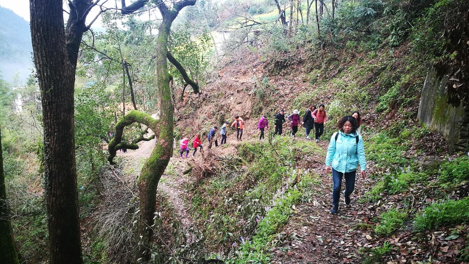 mmexport1521439894166