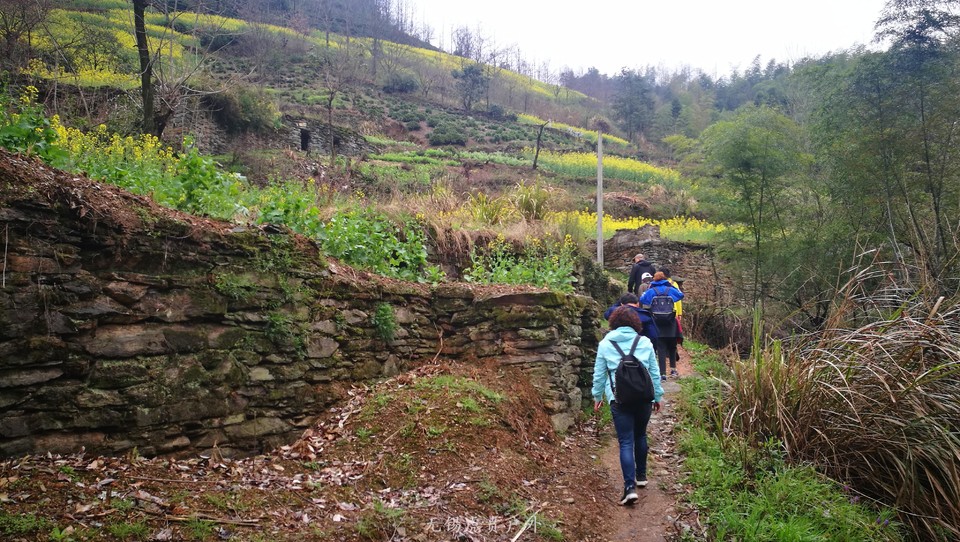 mmexport1521439901396