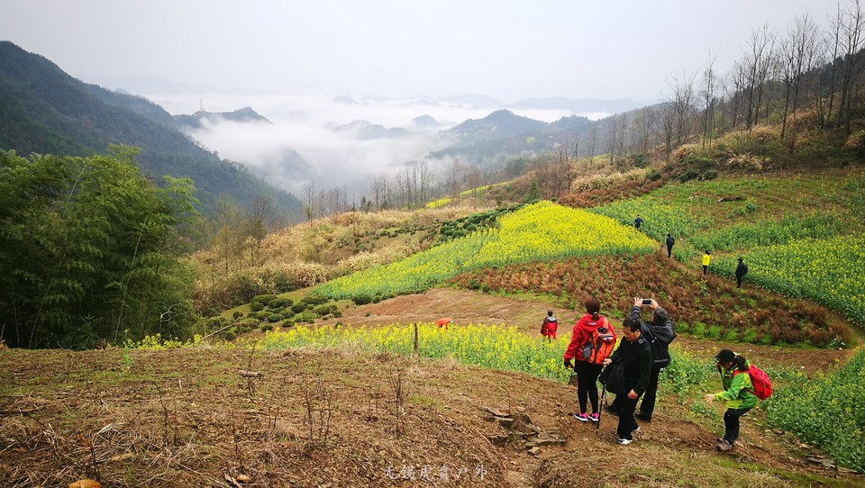 mmexport1521439921444