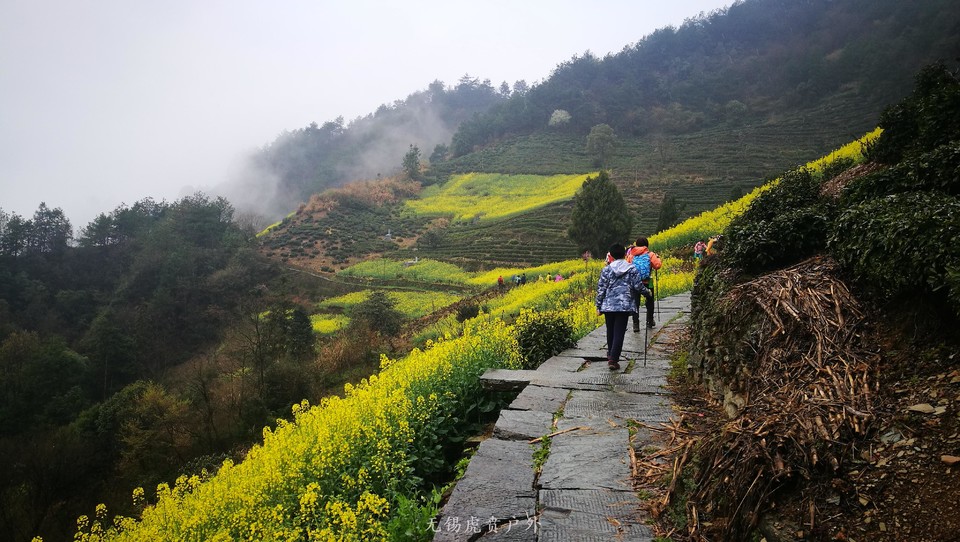 mmexport1521439946934