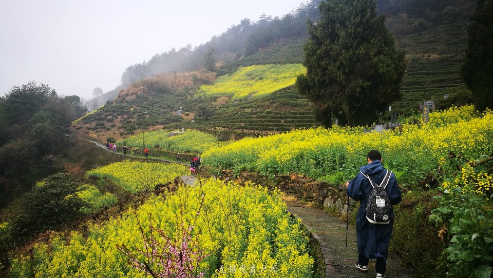 mmexport1521439956023