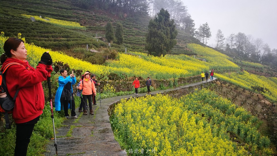 mmexport1521439963140