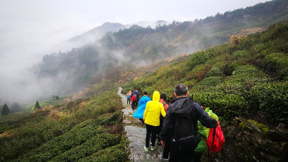 mmexport1521439979267