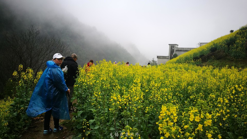 mmexport1521439991462