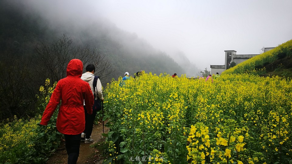 mmexport1521440010086