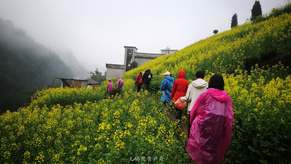 mmexport1521440018022