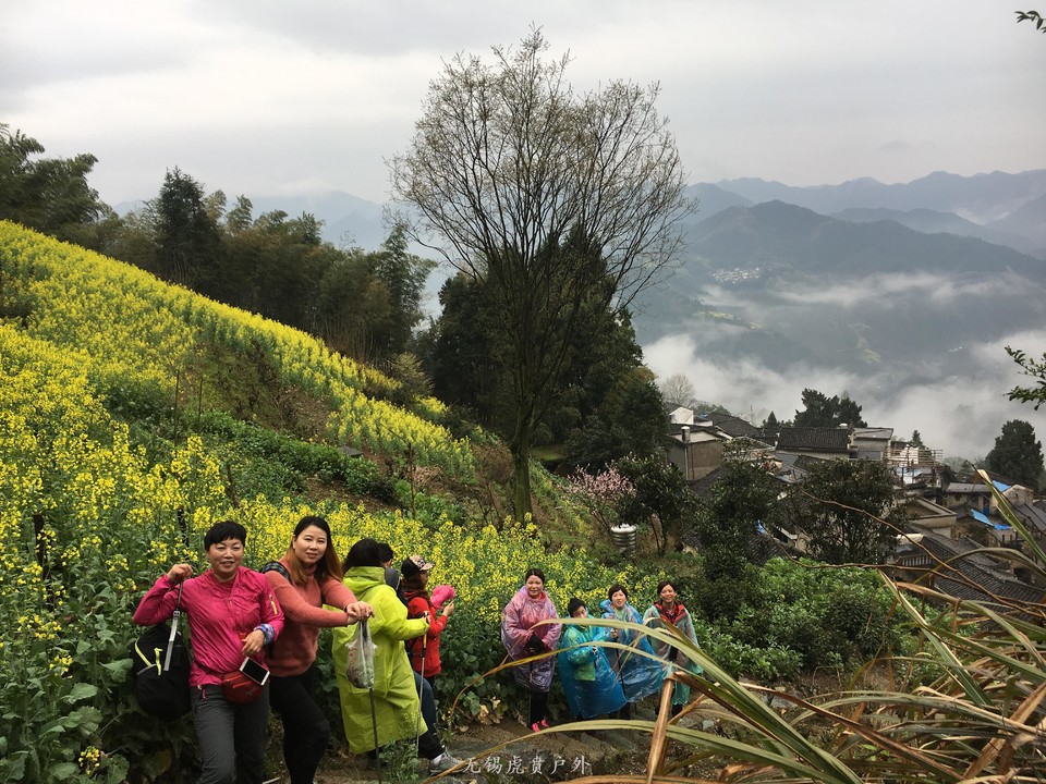 mmexport1521440027746