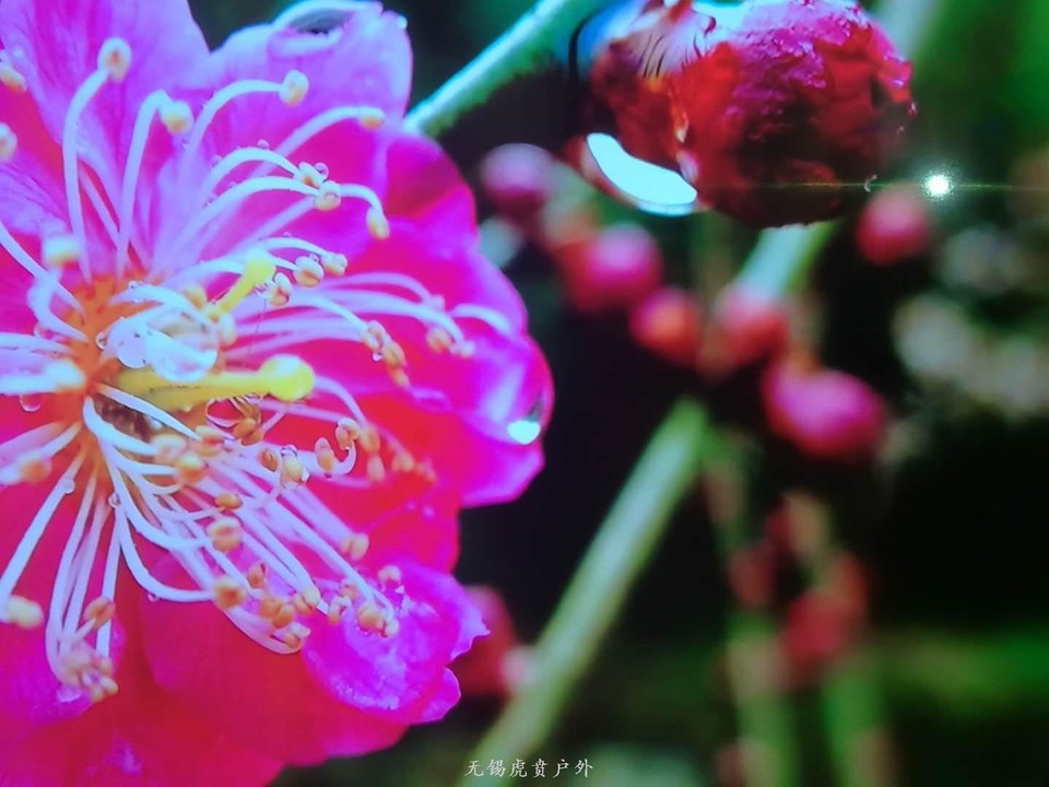 mmexport1520822829927