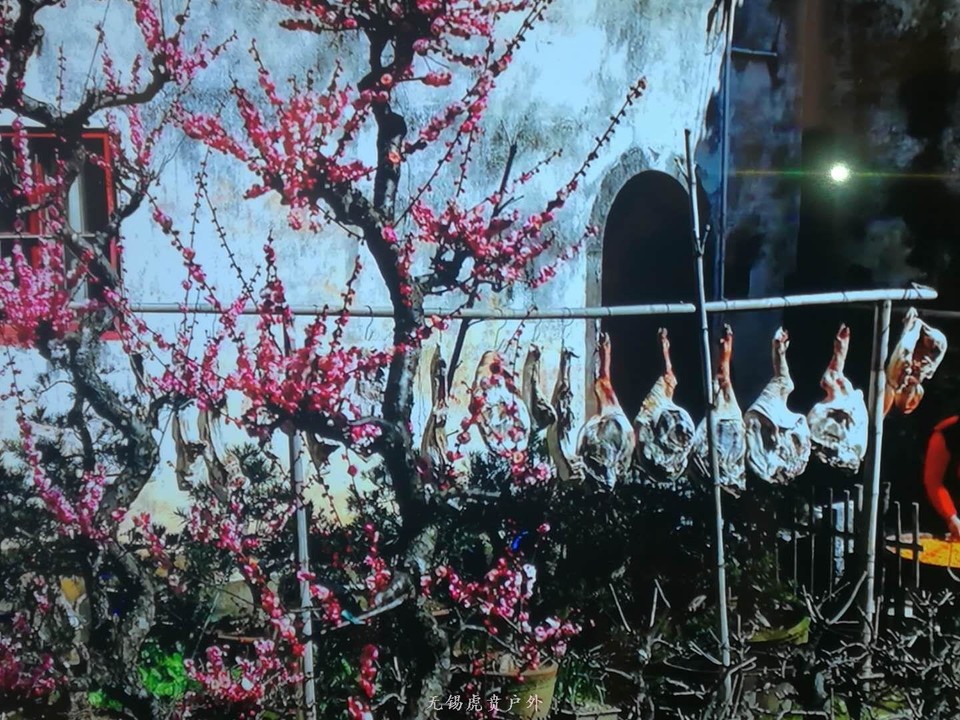 mmexport1520822841011