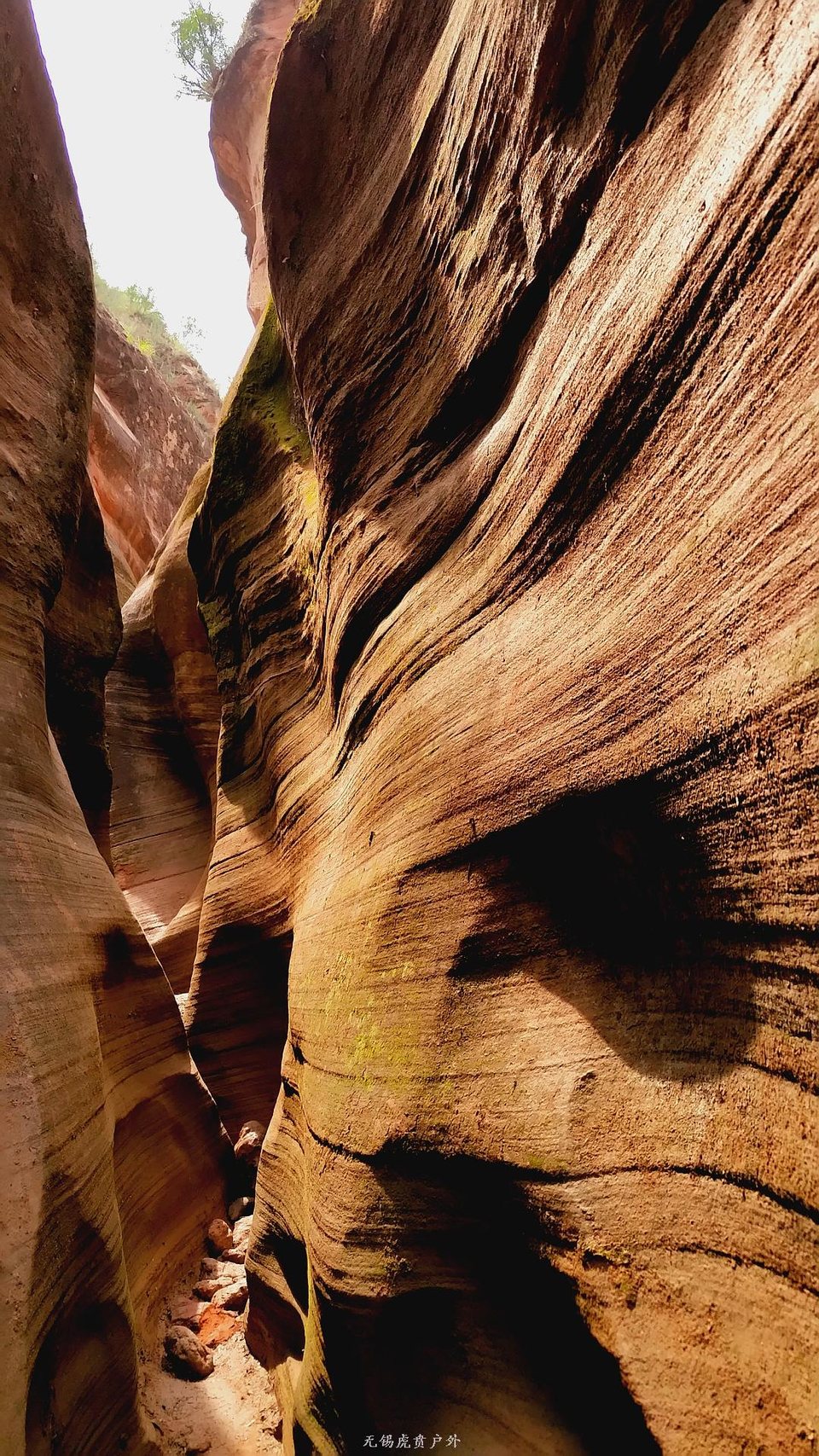 MA201806181219550041-05-015000000