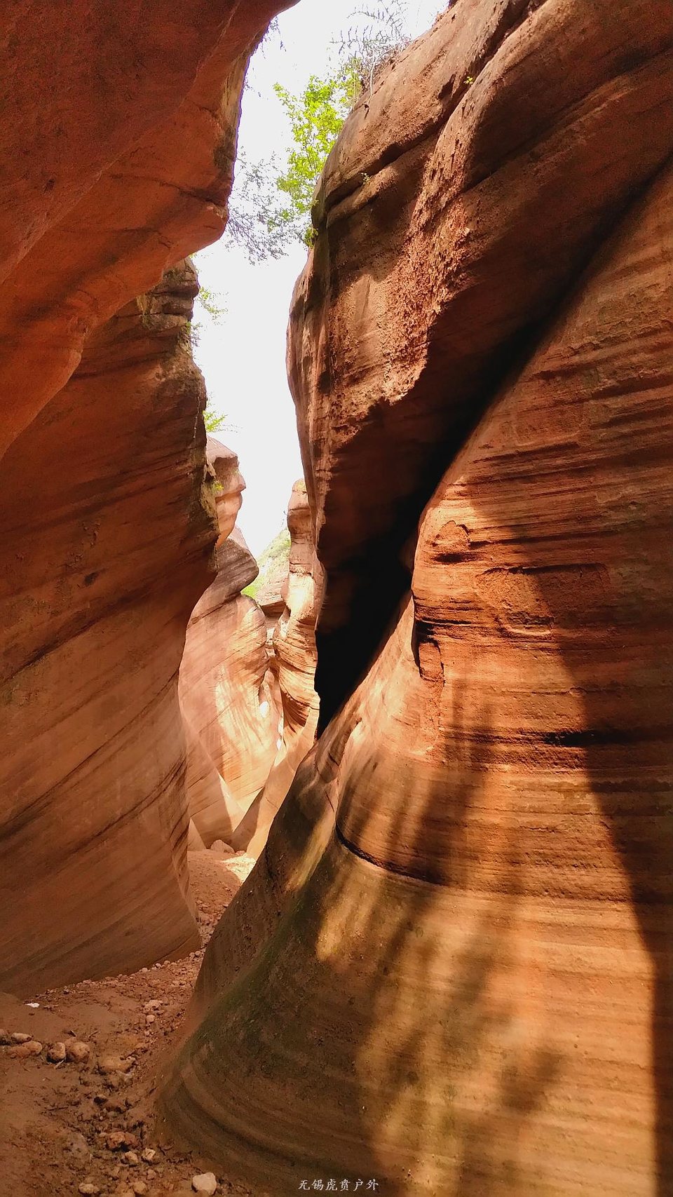 MA201806181220350062-05-015000000