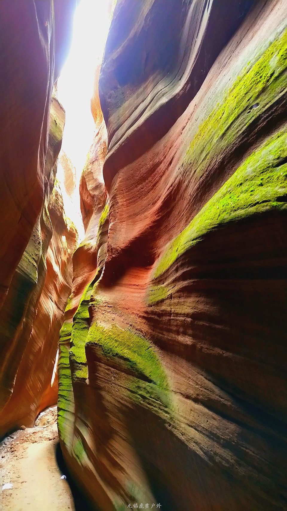 MA201806181222180080-05-015000000