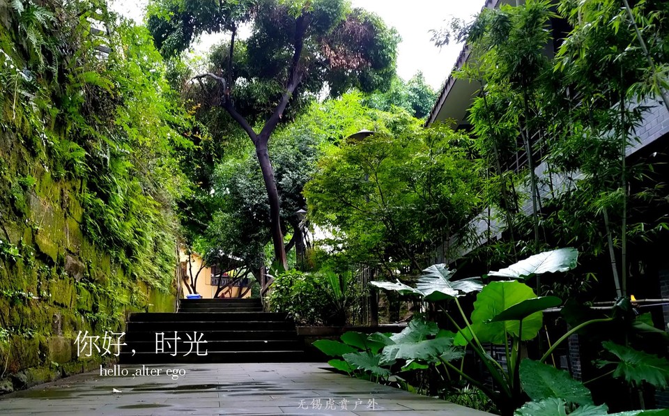 MA201806041330180017-00-00011c000