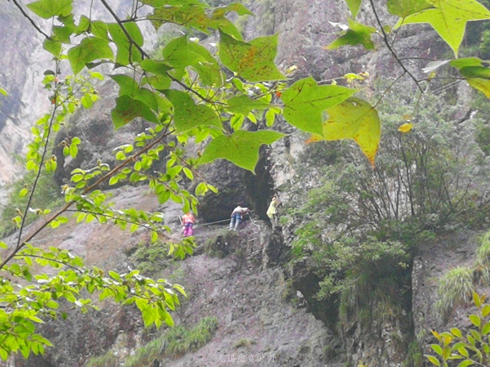 mmexport1528790311991