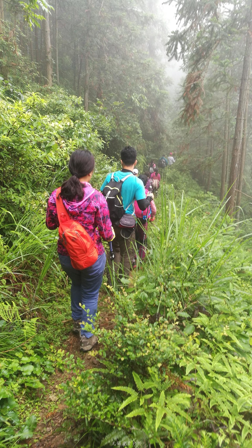 mmexport1528790542611