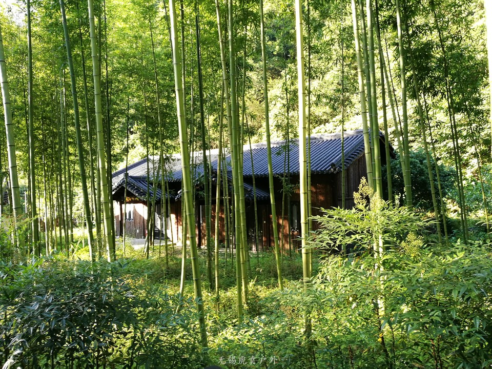 mmexport1531577423992