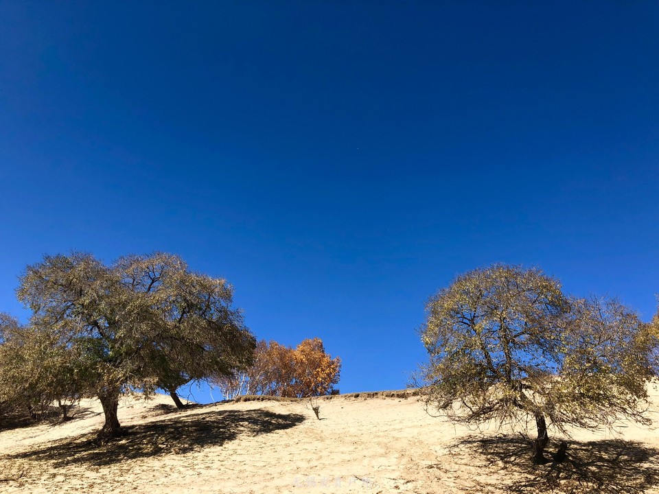 mmexport1538737107553