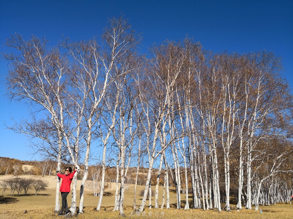 mmexport1538737144234