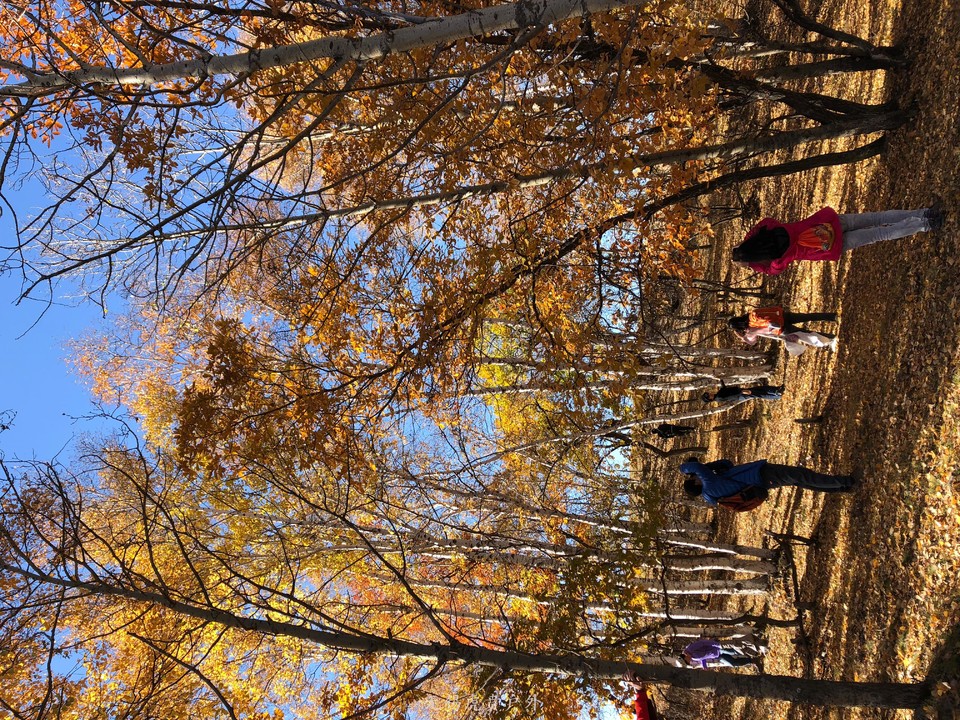 mmexport1538737166401