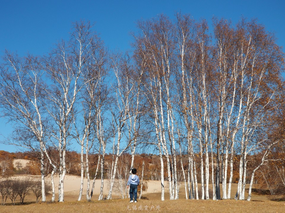 mmexport1538737198089