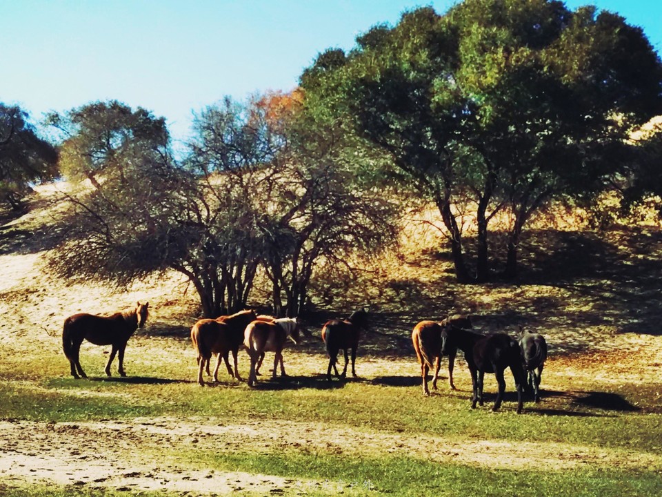 mmexport1538737223000