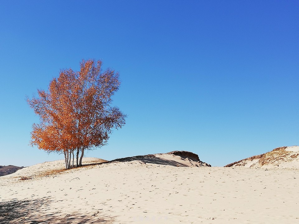 mmexport1538737240664