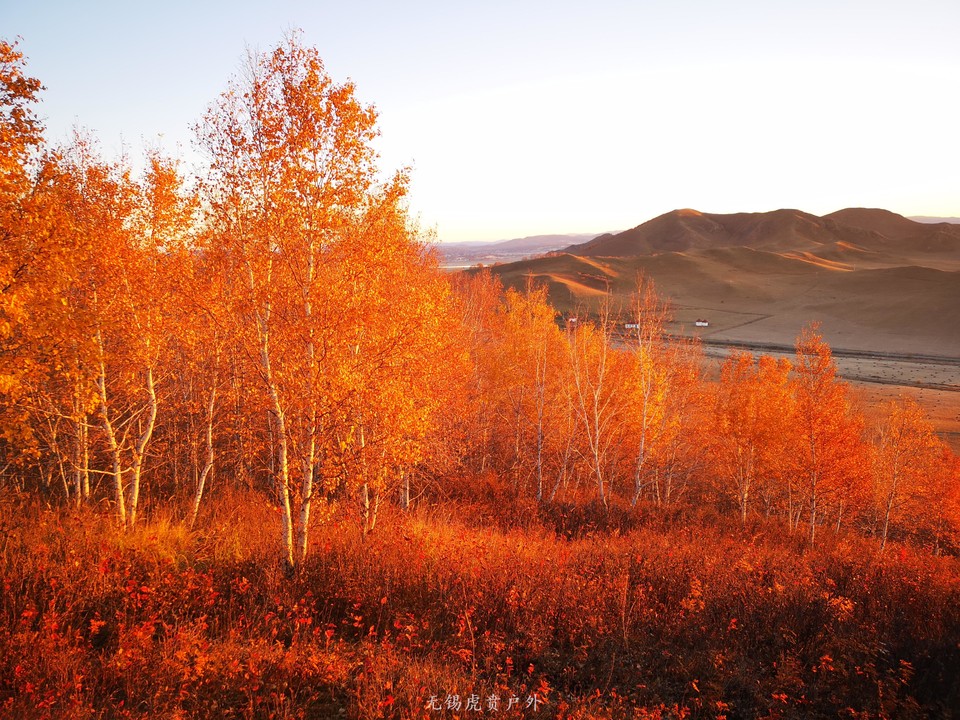 mmexport1538737276307