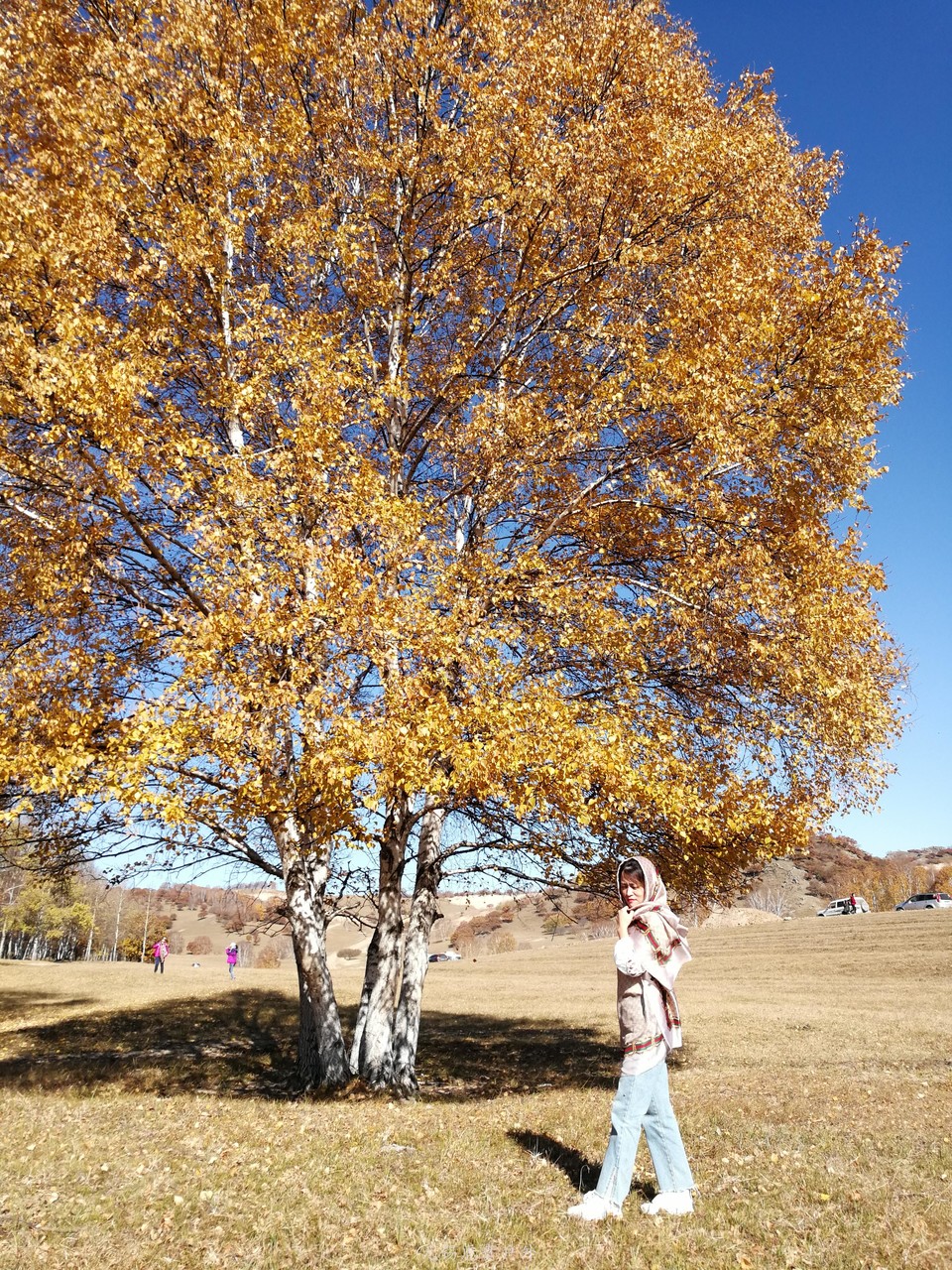 mmexport1538737333240