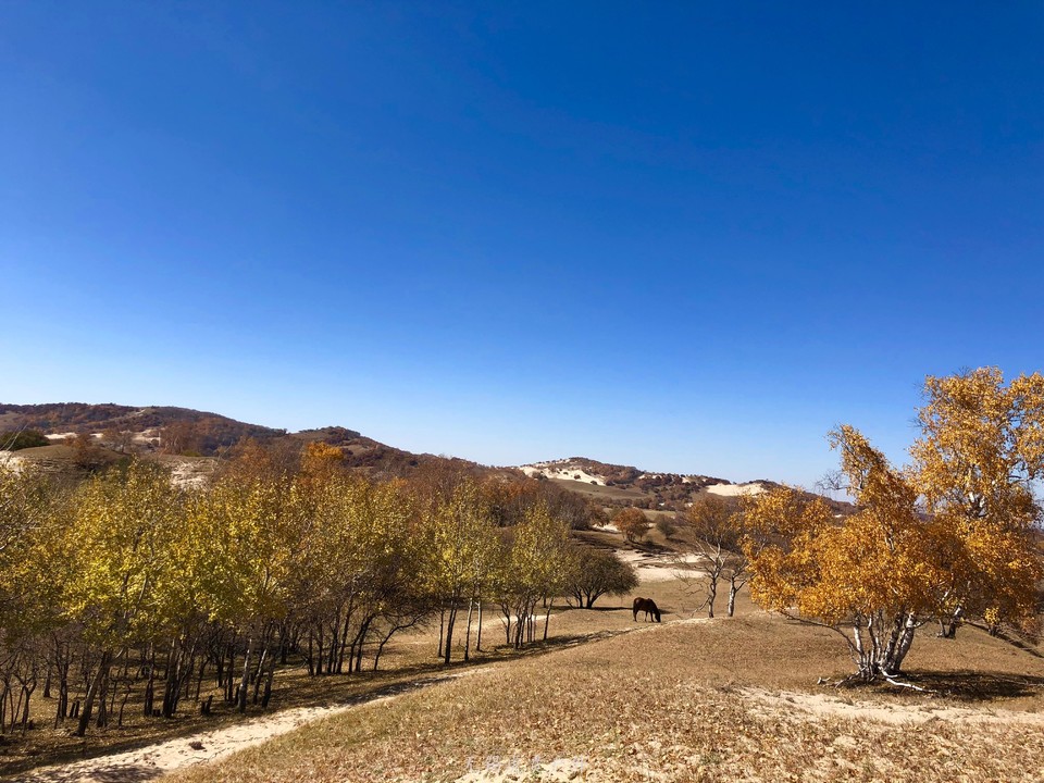 mmexport1538737348034