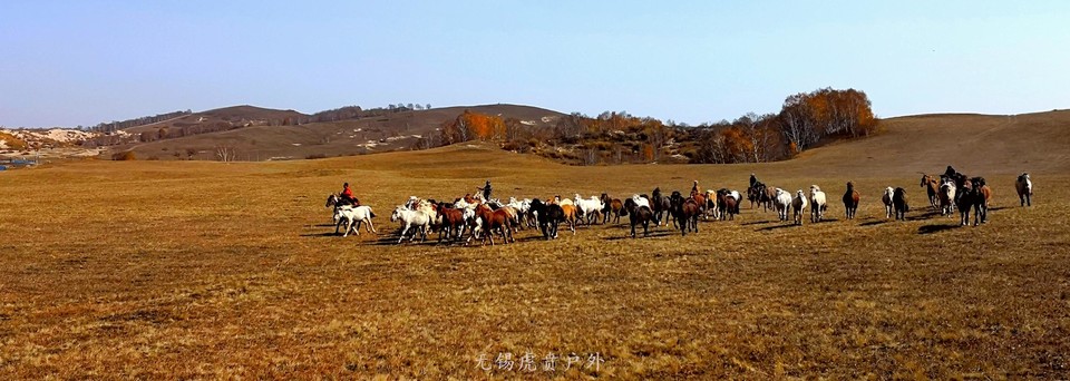 mmexport1538737800767