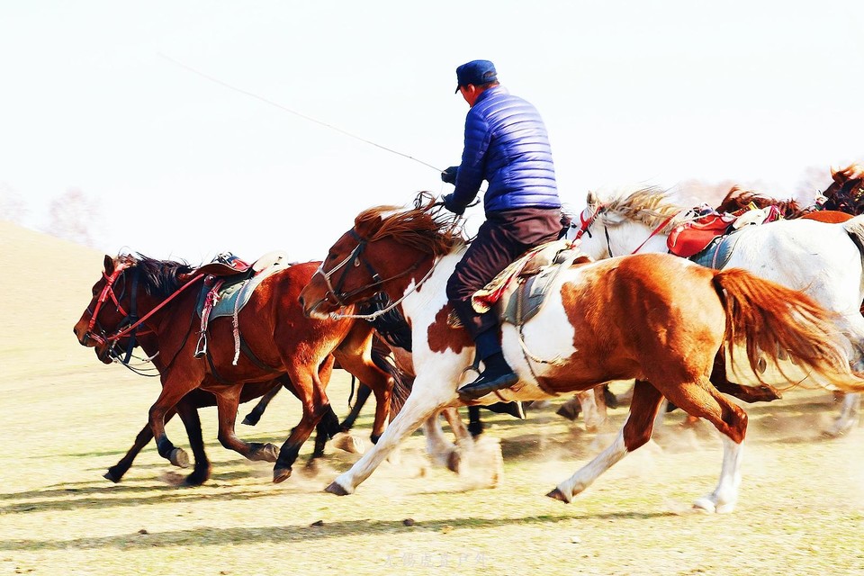 mmexport1538742546654