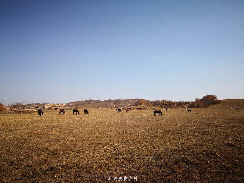 mmexport1538743333879