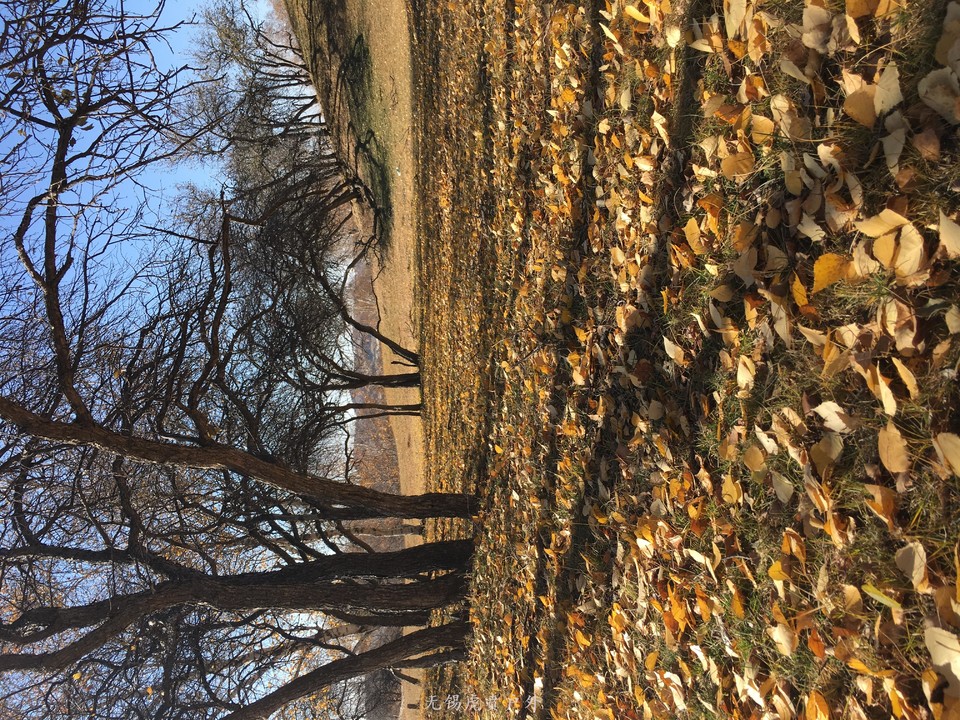 mmexport1538744320764