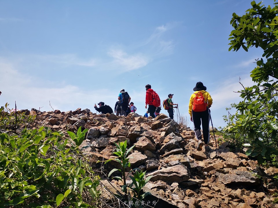 mmexport1587814160183