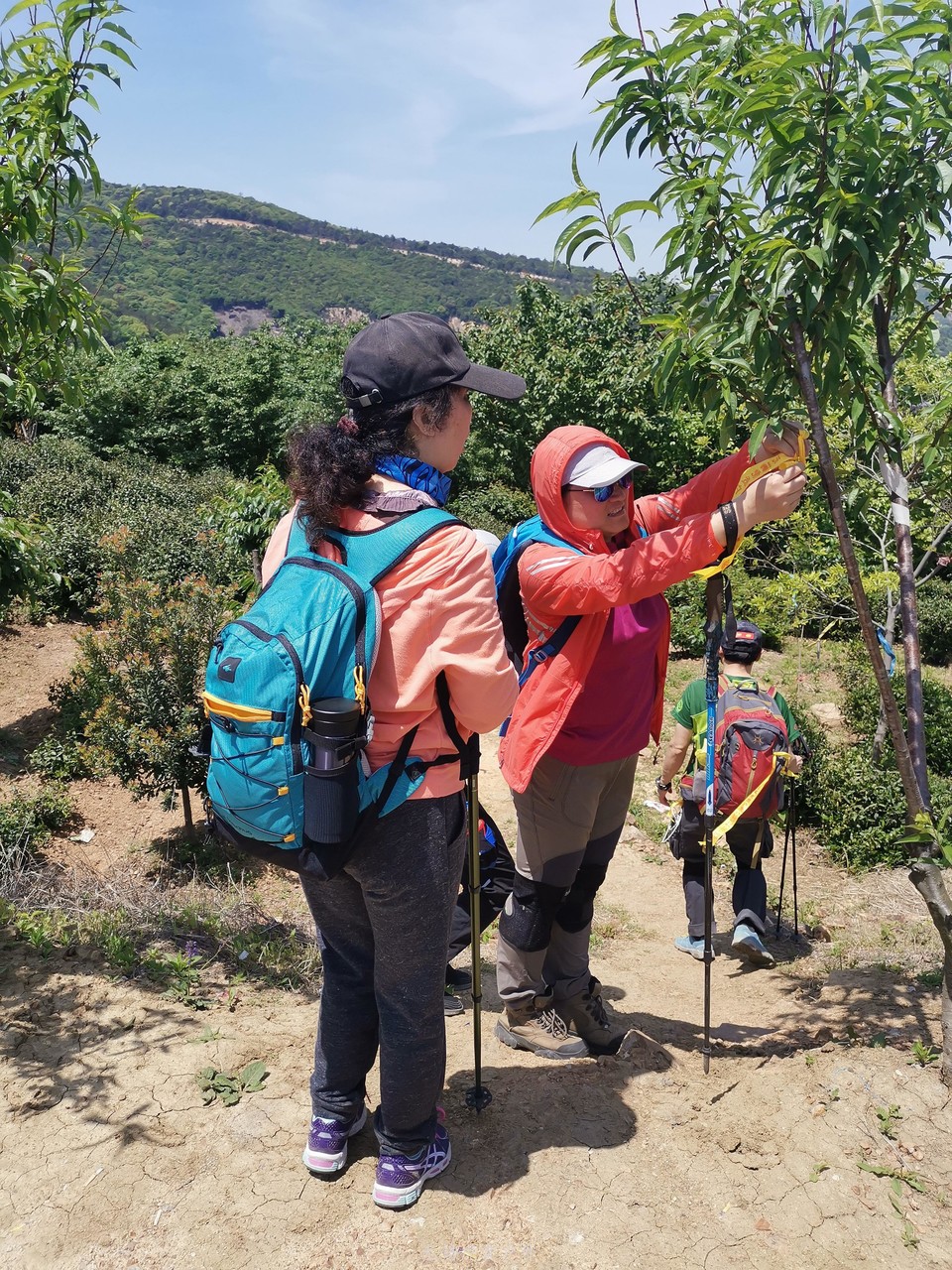 mmexport1587814178040