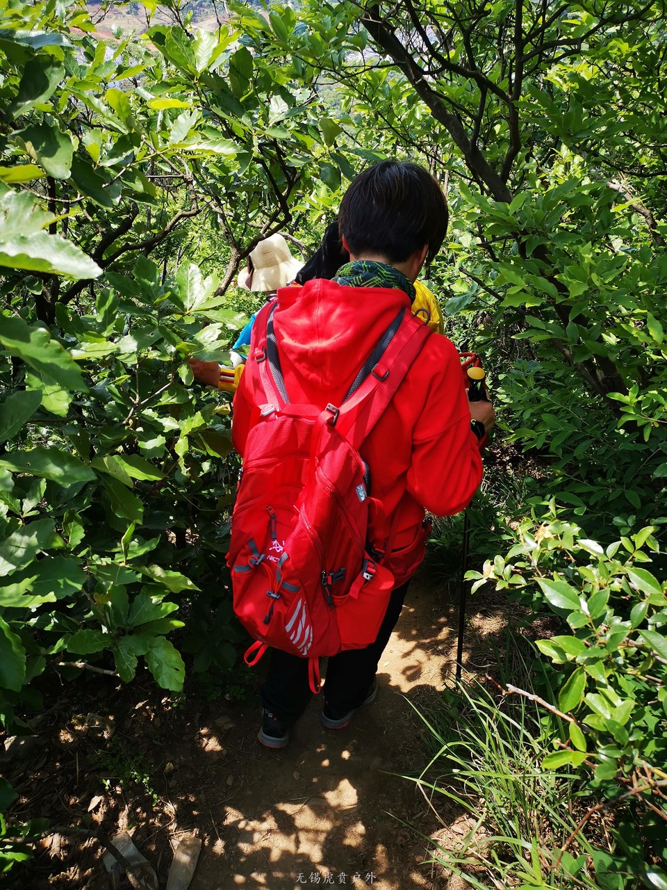 mmexport1587814181505