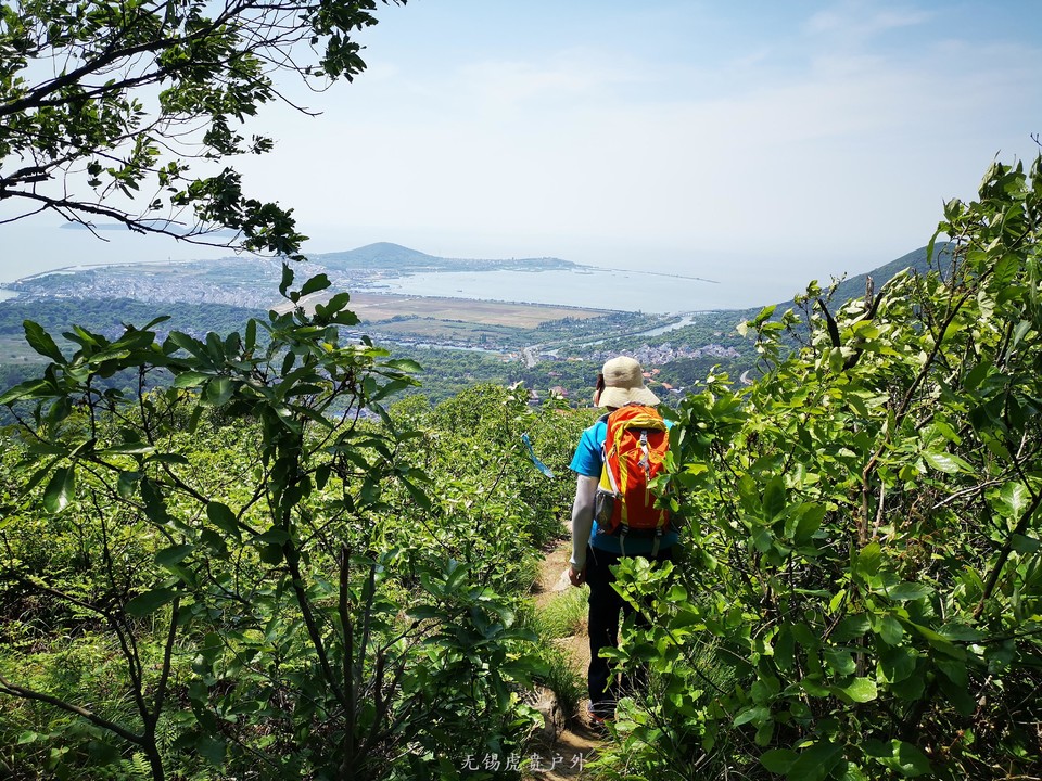 mmexport1587814184479