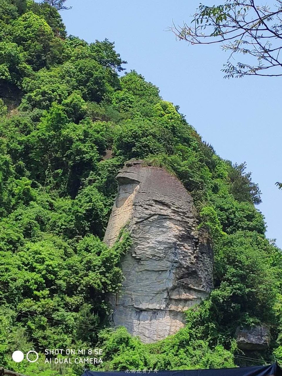 mmexport1588631450253