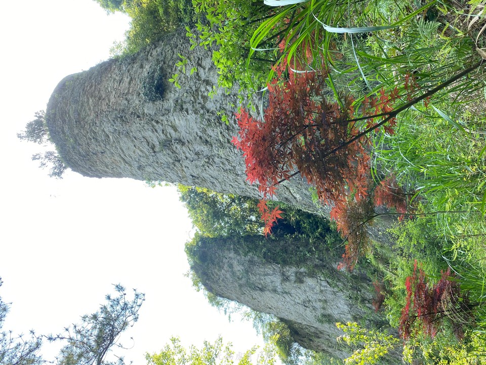 mmexport1588631451362