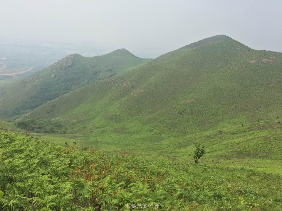 微信图片_20200513091305